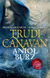 Thumbnail image of Polish edition of Angel of Storms
